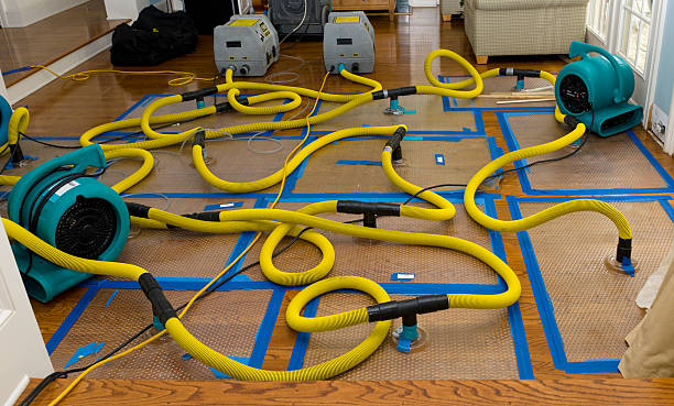 Professional Crawl Space Water Removal technician working in Chippewa Lake, MI